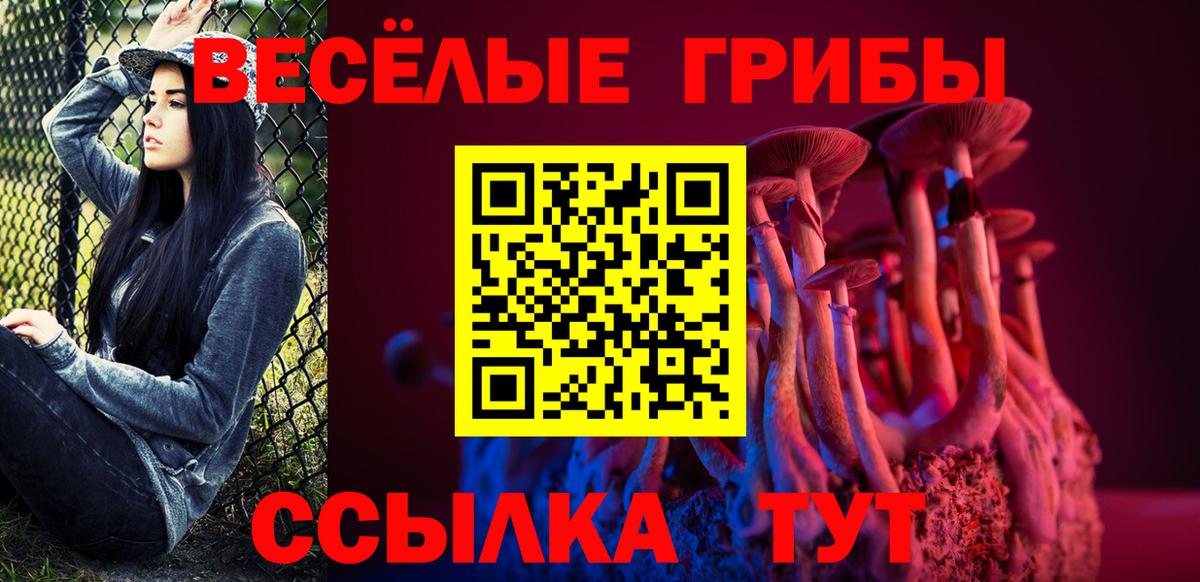 Морозовск  Галлюциногенные грибы MAGIC MUSHROOMS  где купить наркоту  Вход с VPN  Галлюциногенные грибы прущие грибы 