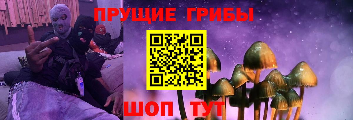 Галлюциногенные грибы Psilocybine cubensis Морозовск