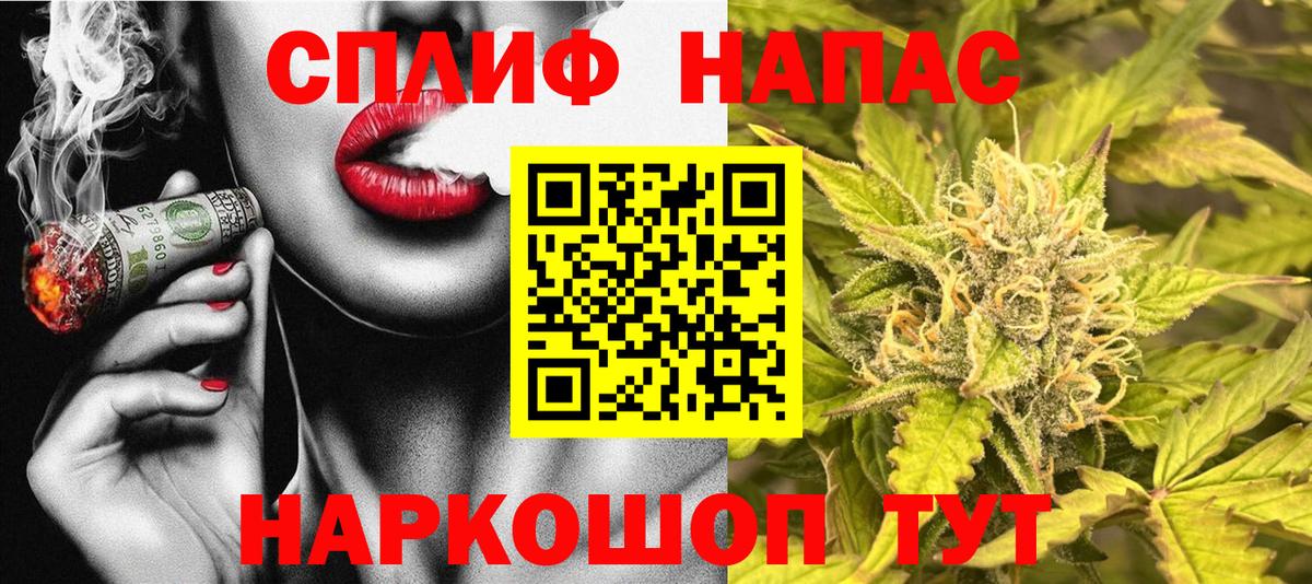 Бошки Шишки семена Морозовск